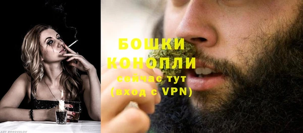 молекула духа Зерноград