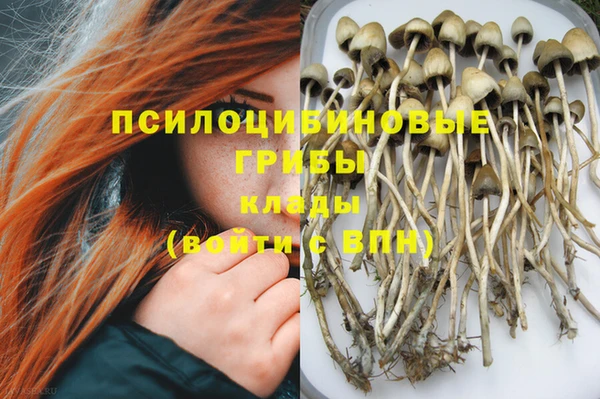 молекула духа Зерноград