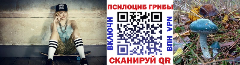 MEGA ONION  Шали  Галлюциногенные грибы прущие грибы  купить наркотики сайты 