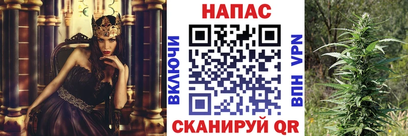 Бошки Шишки гибрид  Шали 